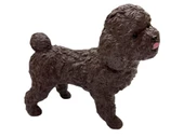 Soft Köpekler - Poodle Cinsi Köpek - E013 - 1
