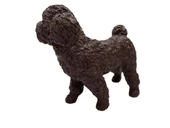 Soft Köpekler - Poodle Cinsi Köpek - E013 - 2
