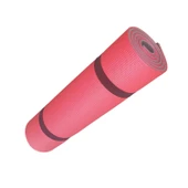 Evolite Pilates Yoga Matı - 2
