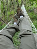 Coghlans Sportmen Hamak - 2