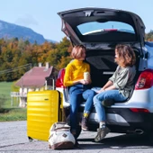 Vegmann Delphin Sarı 3 lü Valiz seti thumbnail 5