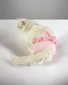 Rosie Rose Kemique's Secret Kedi İç Çamaşırı Regl Külot Don - 7