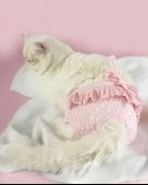Rosie Rose Kemique's Secret Kedi İç Çamaşırı Regl Külot Don - 2