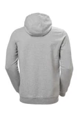 Helly Hansen Hh Hh Logo Full Zip Hoodie Erkek Kapüşonlu Tam Fermuarlı Sweatshirt HHA.34163-949 - 2