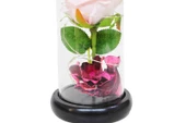 Fanus Çiçek 19/10cm Cam Fanus Hediyelik Led Işıklı - 3
