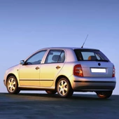 Skoda Fabia MK1 HB 2000-2008 Arka Bagaj Amortisörü Pistonu 6Y0827550C - 2