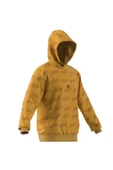 adidas Erkek SWEATSHİRT IJ6429 - 10