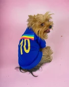 Uno Blue Köpek Tişörtü - 2