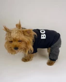 Chique Boss Tulum Köpek Kıyafeti - 3