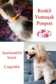 Renkli Ponpon Kedi Köpek Evcil Hayvan Boyun Tasması - 3