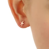 925 Ayar Gümüş Minik Deniz Yıldızı Küpe thumbnail 8