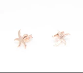 925 Ayar Gümüş Minik Deniz Yıldızı Küpe thumbnail 3