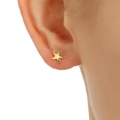 925 Ayar Gümüş Minik Deniz Yıldızı Küpe thumbnail 7