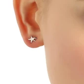 925 Ayar Gümüş Minik Deniz Yıldızı Küpe thumbnail 6