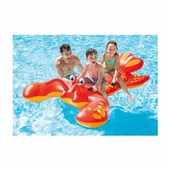 IBN57528 Istakoz Binici 213X137 cm - Vardem Oyuncak - 4