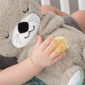 FXC66 Fisher-Price® Uyku Arkadaşı Su Samuru - 2