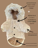 Cream Comfy Köpek Montu, Köpek Ceketi, Köpek Dış Giyim thumbnail 3