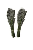 Naturel Kurutulmuş Lavanta Demeti 40-50 Cm - 1