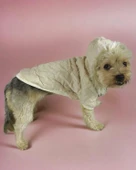 Cream Comfie Köpek Montu, Köpek Ceketi, Köpek Dış Giyim - 2