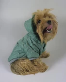 Green Comfy Köpek Montu, Köpek Ceketi, Köpek Dış Giyim - 1