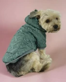 Green Comfie Köpek Montu, Köpek Ceketi, Köpek Dış Giyim - 1