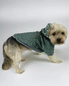 Green Comfie Köpek Montu, Köpek Ceketi, Köpek Dış Giyim - 2