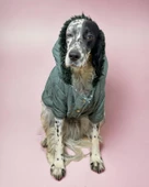 Green Comfly Köpek Montu, Orta ve Büyük Irklar için - 1