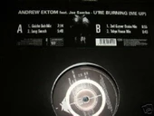 Andrew Ektom Feat. Joe Samba* – U 'Re Burning (Me Up) - House Vinly Plak alithestereo - 2