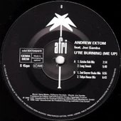 Andrew Ektom Feat. Joe Samba* – U 'Re Burning (Me Up) - House Vinly Plak alithestereo - 1