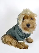Poof Green Köpek Montu, Köpek Ceketi, Köpek Dış Giyim - 3