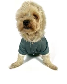 Poof Green Köpek Montu, Köpek Ceketi, Köpek Dış Giyim - 12