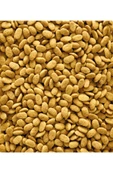Nutribird P19 Original, Papağan Pelet Yem 250g (Deneme Paketi) - 1