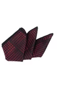 Cengiz İnler Puantiye Desenli Mendilli Mikrofiber Erkek Kravat thumbnail 6