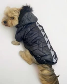 Luxy Black Köpek Montu, Köpek Ceketi, Köpek Dış Giyim - 9