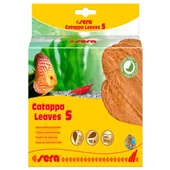 Sera Catappa Yaprağı S 14 Cm 10lu Paket - 1