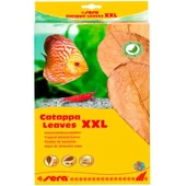 Sera Catappa Yaprağı XXL 32 Cm - 1