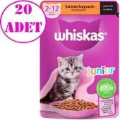 Whiskas Junior Tavuklu Yaş Mama 85 Gr 20 AD - 1