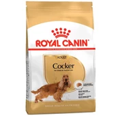 Royal Canin Cocker Spaniel Köpek Maması 3 kg - 1