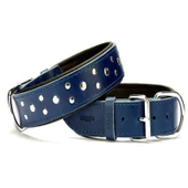 Doggie Comfort Rivetli Deri Boyun Tasması Mavi SBT-4011 4,0x65 cm - 1