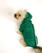 Luxy Green Köpek Montu, Köpek Ceketi, Köpek Dış Giyim - 8