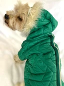 Luxy Green Köpek Montu, Köpek Ceketi, Köpek Dış Giyim - 9