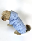 Baby Blue Comfy Köpek Montu, Köpek Ceketi, Köpek Dış Giyim - 11