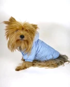 Baby Blue Comfy Köpek Montu, Köpek Ceketi, Köpek Dış Giyim - 3