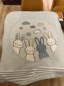 Özdilek Hello Rabbıt Bebek Battaniyesi (100x120)-Mavi - 1