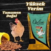 Özlem Yem Yumurtalık Tavuk Yemi - Gezen Tavuk Yemi 25 kg - 1