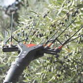 Castellari Vertigo 30V Akülü ve Taraklı Zeytin Hasat Makinası - 3
