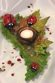Uğurböceği Yaprak Mumluk - 2