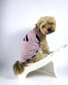 Light Purple BB Atlet Köpek Kıyafeti  Köpek Elbisesi - 3