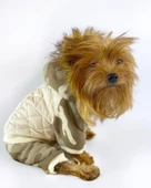 Kamuflaj Comfy Puf Köpek Mont Tulum Takım, Köpek Ceket Takım - 3