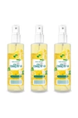 3 Adet Limon Kolonyası  Ev Ofis Pratik Kullanım Sprey 100ml - 1
